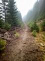 Navracíme široké lesní cesty v Krkonoších přírodě a pěším 