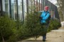 Vánoční stromky s certifikátem letos ve Vrchlabí nebudou 