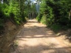 Nad Haďákem Rekonstrukce lesních cest v souvislosti s plněním plánu péče o NP ve vých. Krkonoších - II. etapa