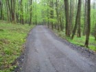 LC Dlouhý potok Rekonstrukce lesních cest v souvislosti s plněním plánu péče o NP v západních Krkonoších - II. etapa