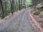 LC Janova cesta Rekonstrukce lesních cest v souvislosti s plněním plánu péče o NP v západních Krkonoších - II. etapa