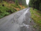 LC Okružní Rekonstrukce lesních cest v souvislosti s plněním plánu péče o NP v západních Krkonoších - II. etapa