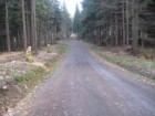 LC Vyhlídková Rekonstrukce lesních cest v souvislosti s plněním plánu péče o NP v západních Krkonoších - II. etapa