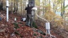 Sub-project 1: equipment cleaning and water flowing down the trunk measuring Current state of forest and water ecosystems damage within the territory of Krkonoše SAC 