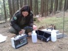 Sub-project I: soil sampling Current state of forest and water ecosystems damage within the territory of Krkonoše SAC 