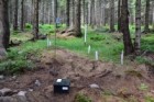 Sub-project I: research area Current state of forest and water ecosystems damage within the territory of Krkonoše SAC 
