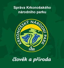 Ohrožený tetřívek obecný | Správa Krkonošského národního parku
